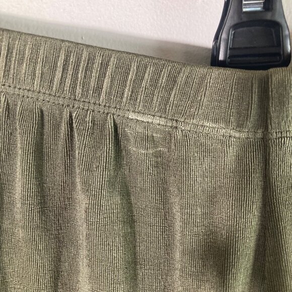 Womens Travelers by Chicos Pants Green L Short Slinky‎ Feel Acetate Spandex - Picture 8 of 12